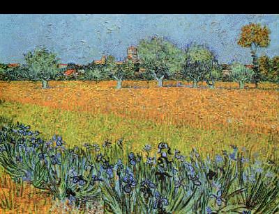Vincent Van Gogh View of Arles With Iris